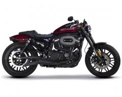 Sportster(14-22)  2-1 フルエキ/Comp-S セラミックブラック/カーボンエンド